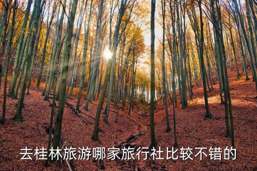 去桂林旅游哪家旅行社比较不错的