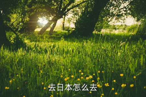 去日本怎么去