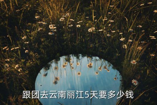 跟团去云南丽江5天要多少钱