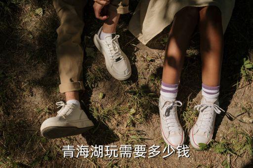 青海湖玩需要多少钱