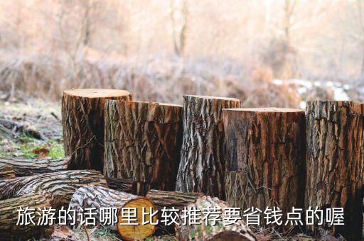 旅游的话哪里比较推荐要省钱点的喔