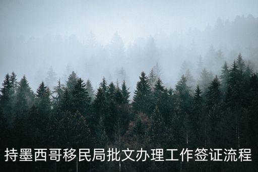 持墨西哥移民局批文办理工作签证流程