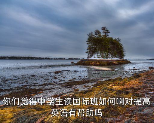 你们觉得中学生读国际班如何啊对提高英语有帮助吗