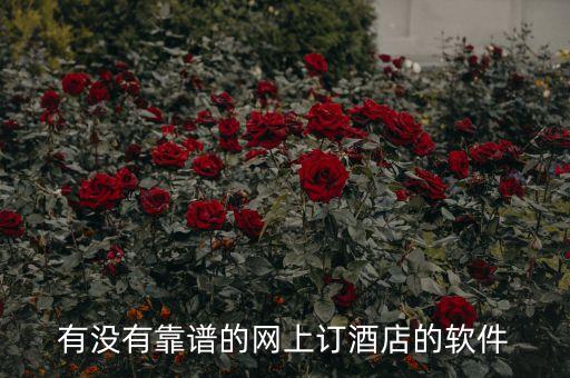 有没有靠谱的网上订酒店的软件