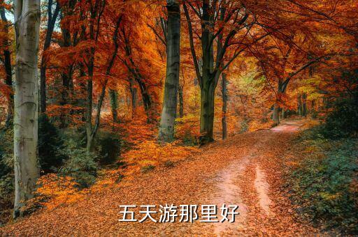 五天游那里好