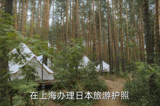 在上海办理日本旅游护照
