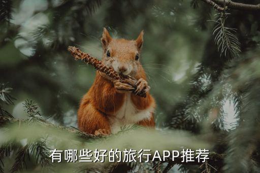 有哪些好的旅行APP推荐