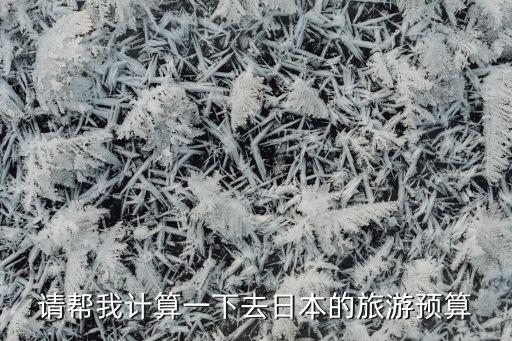 请帮我计算一下去日本的旅游预算