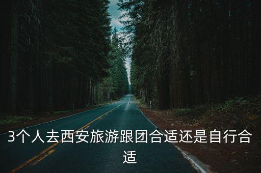 3个人去西安旅游跟团合适还是自行合适