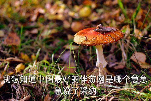 我想知道中国最好的伴游网是哪个急急急说了采纳