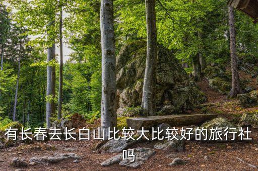 有长春去长白山比较大比较好的旅行社吗