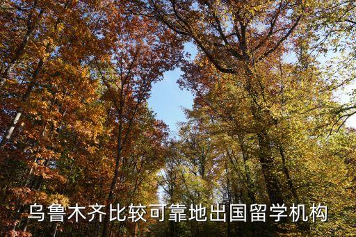 乌鲁木齐留学机构排行榜，新疆出国留学服务机构哪家靠谱