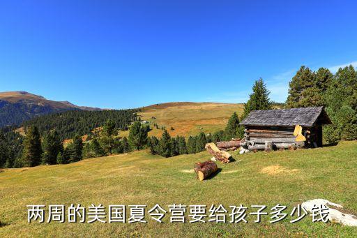 小学生出国夏令营多少钱，小学生参加夏令营需要带多少钱