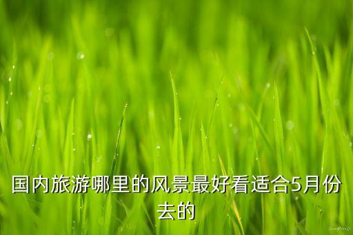 国内旅游哪里的风景最好看适合5月份去的
