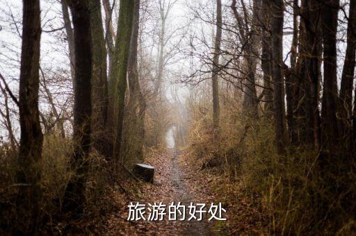 旅游有什么好处，旅游有那些好处