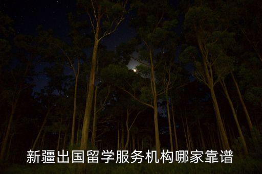 新疆出国留学服务机构哪家靠谱