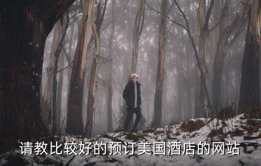 请教比较好的预订美国酒店的网站