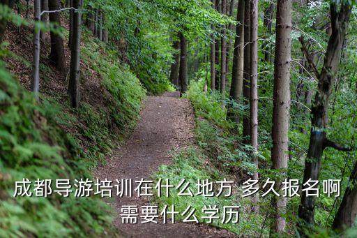 成都旅行导游，请问成都有哪些导游公司具体位置在哪里