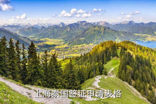 上海泰国签证申请表格