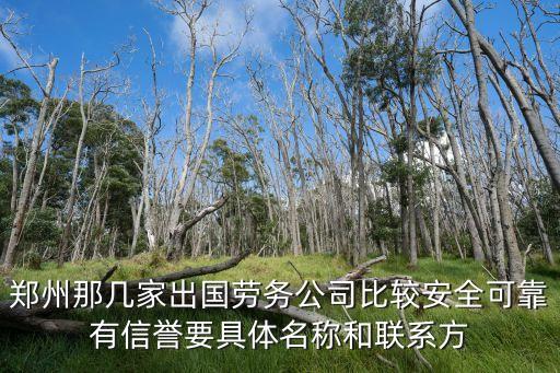 河南最大的出国劳务公司，河南出国务工招聘中介公司国家认定有哪几个