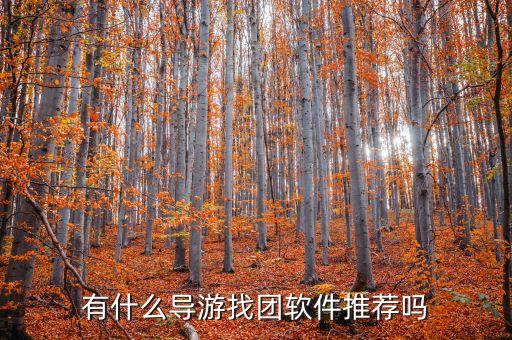 请导游的app，有什么导游找团软件推荐吗