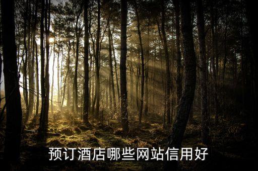 订酒店宾馆哪个平台可靠，预订酒店哪些网站信用好