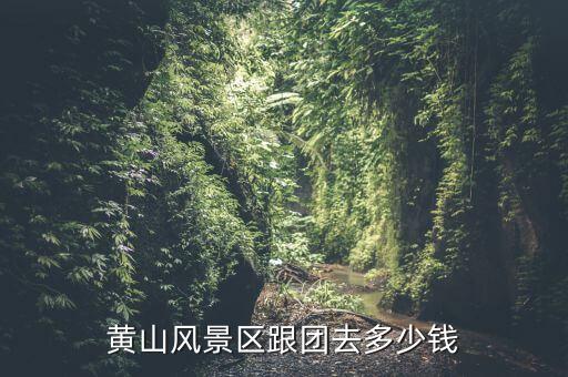 黄山旅行团旅游报价，黄山风景区跟团去多少钱