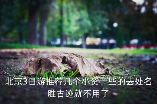 北京当地旅游团三日游攻略，求北京三天旅游攻略