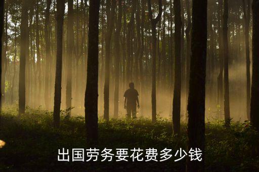 出国打工需要多少费用多少，出国务工需要多少钱