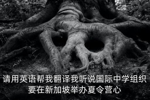 请用英语帮我翻译我听说国际中学组织要在新加坡举办夏令营心
