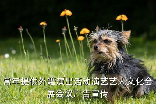 常年提供外籍演出活动演艺艺人文化会展会议广告宣传