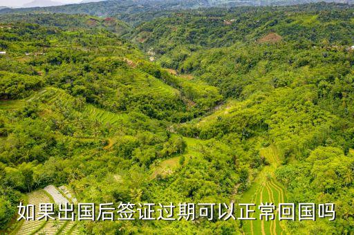 如果出国后签证过期可以正常回国吗