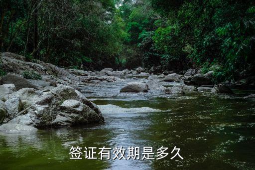签证有效期是多久