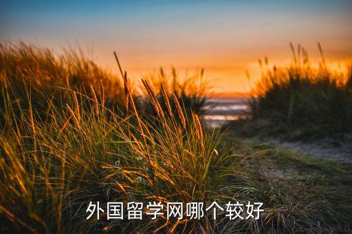 外国留学网哪个较好
