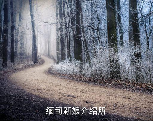 缅甸新娘介绍所