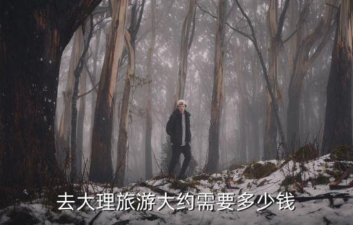 去大理旅游大约需要多少钱