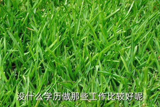 没什么学历做那些工作比较好呢
