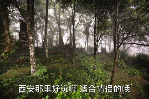 西安那里好玩啊 适合情侣的哦