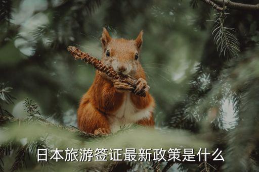 日本旅游签证最新政策是什么