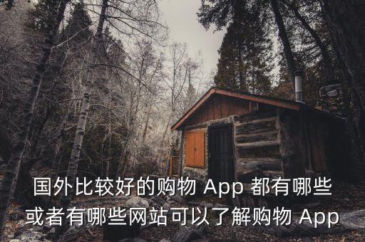 国外比较好的购物 App 都有哪些或者有哪些网站可以了解购物 App