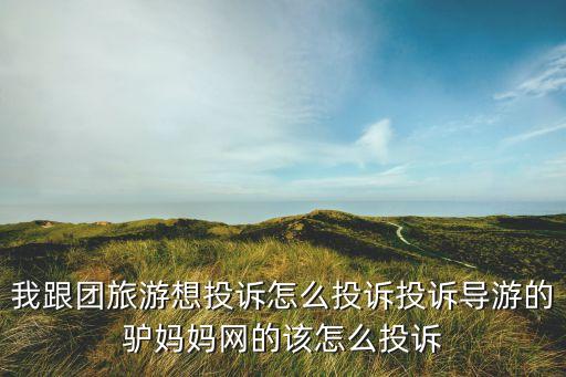 我跟团旅游想投诉怎么投诉投诉导游的驴妈妈网的该怎么投诉