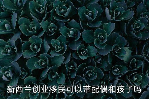 新西兰工签带家属政策，自由职业带孩子和老人新西兰签证能过吗