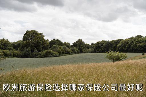 欧洲旅游保险哪个好，欧洲旅游买平安保险好还是安联保险好