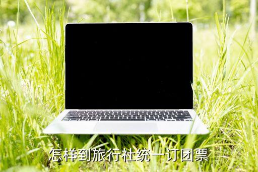 怎样到旅行社统一订团票