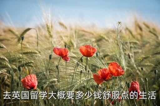 去英国留学大概要多少钱舒服点的生活