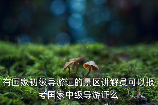 有国家初级导游证的景区讲解员可以报考国家中级导游证么