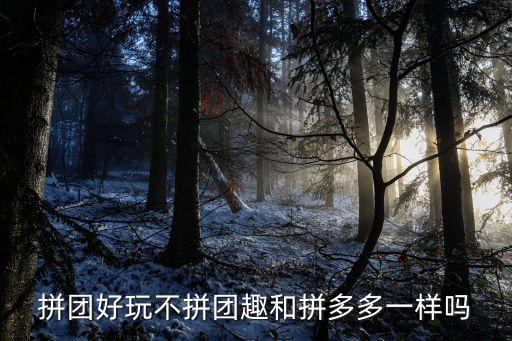 拼团好玩不拼团趣和拼多多一样吗