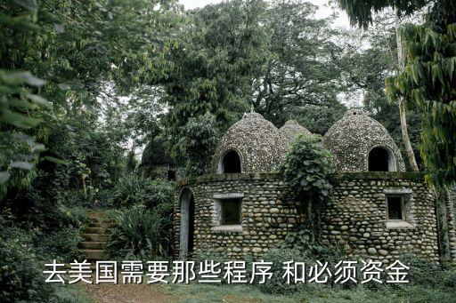 去美国需要那些程序 和必须资金