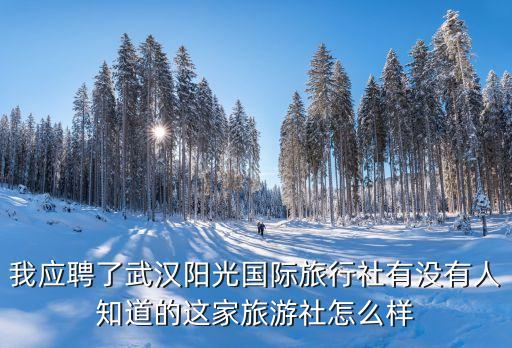 我应聘了武汉阳光国际旅行社有没有人知道的这家旅游社怎么样