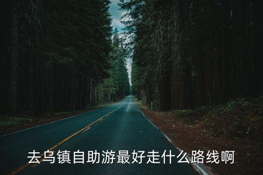 去乌镇自助游最好走什么路线啊